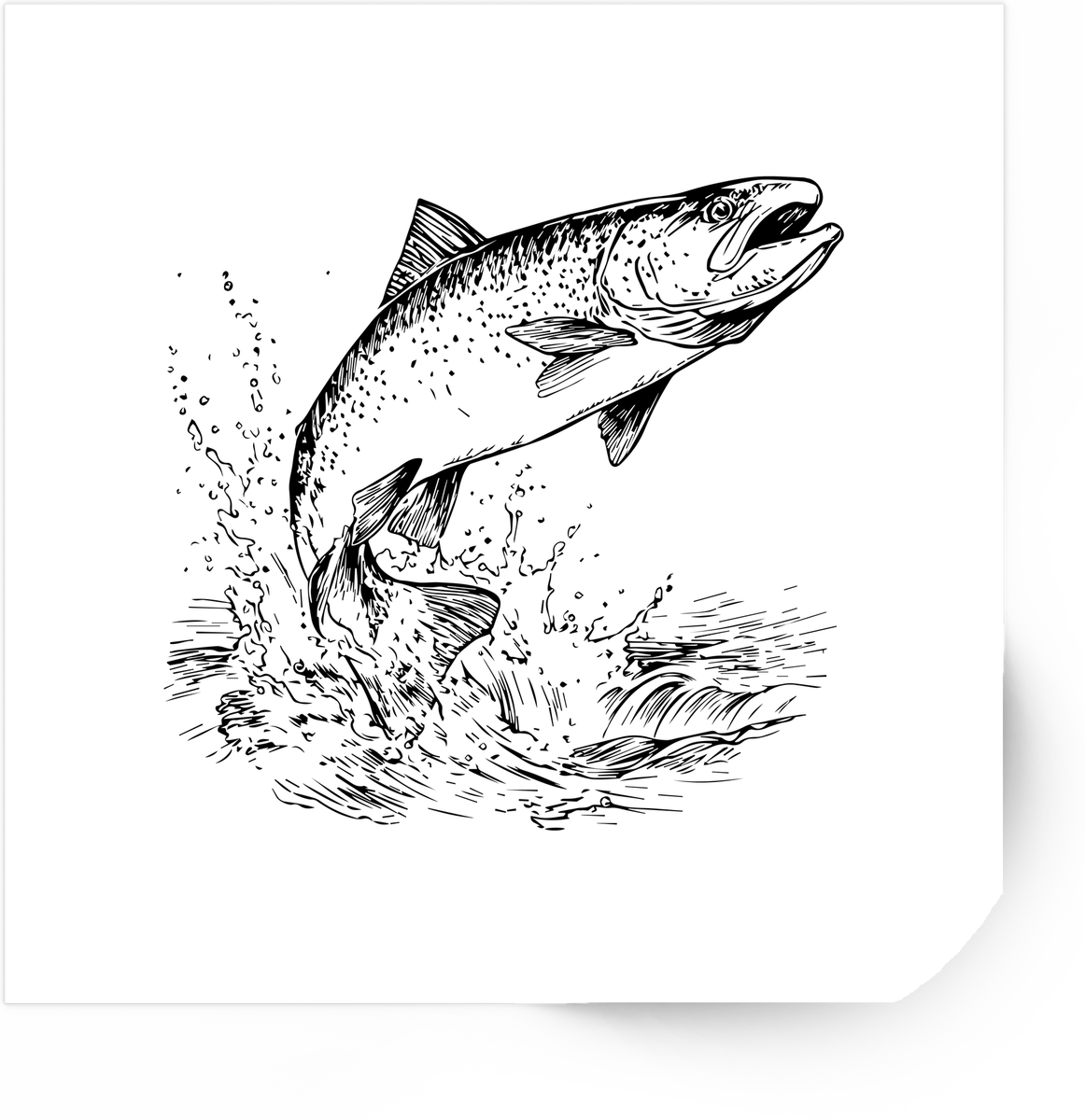 Leaping Salmon Sticker | Black & White Sketch Fish Vinyl Decal | Fishing Angler Gift