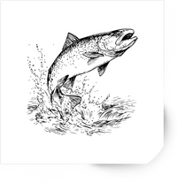 Thumbnail for Leaping Salmon Sticker | Black & White Sketch Fish Vinyl Decal | Fishing Angler Gift