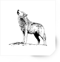 Thumbnail for Howling Wolf Sticker | Hand-Drawn Wilderness Wolf Vinyl Decal | Nature Wildlife Gift