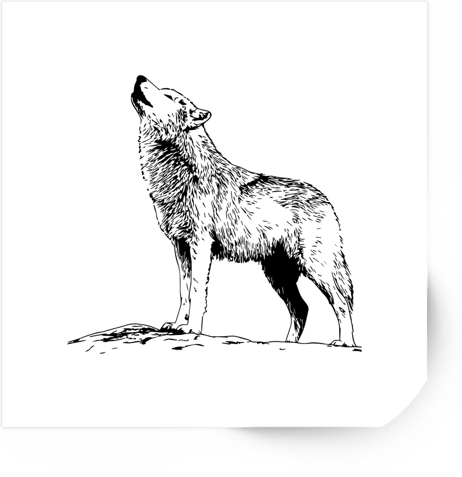 Howling Wolf Sticker | Hand-Drawn Wilderness Wolf Vinyl Decal | Nature Wildlife Gift